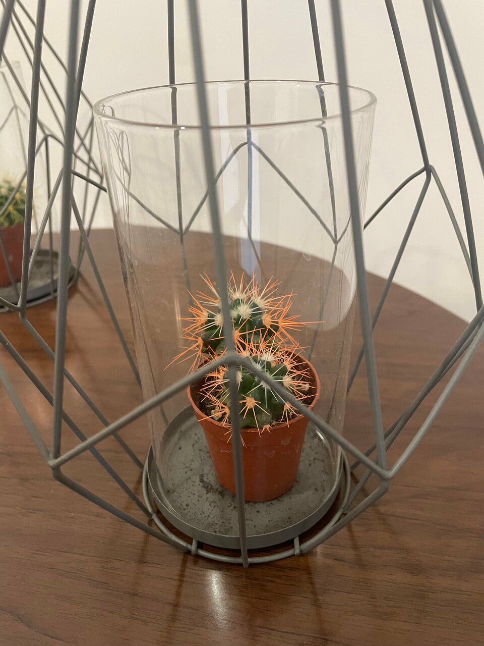 Отель Исаевский Тверь